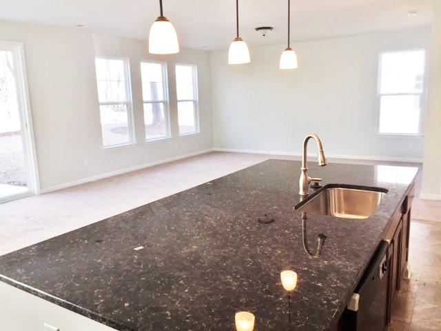 172 Hickory Ridge Way Summerville, SC 29483 - Photo 12 of 73 Kitchen1