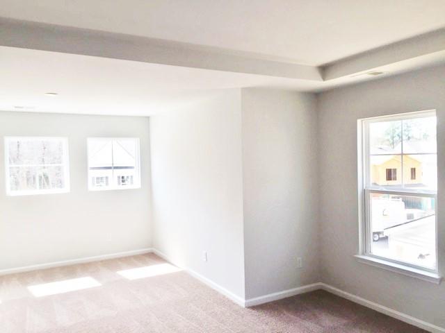 172 Hickory Ridge Way Summerville, SC 29483 - Photo 24 of 73 Owner's Suite - Trey Ceilings