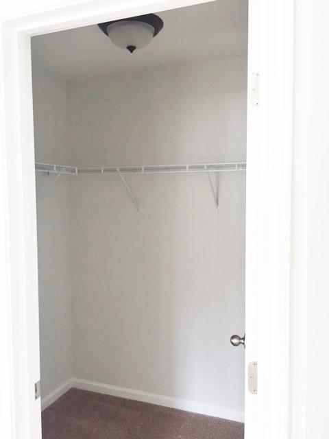 172 Hickory Ridge Way Summerville, SC 29483 - Photo 26 of 73 Owner's Walk-In 1