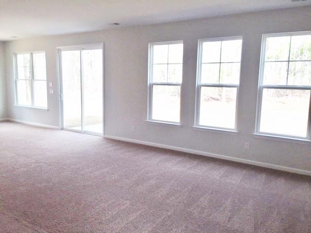 172 Hickory Ridge Way Summerville, SC 29483 - Photo 7 of 73 Natural Light
