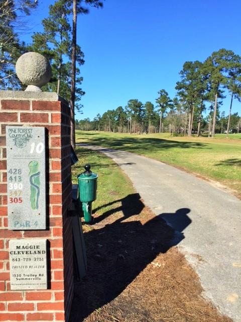 172 Hickory Ridge Way Summerville, SC 29483 - Photo 65 of 73 PFCC #10 Tee