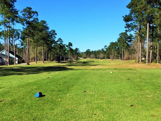 172 Hickory Ridge Way Summerville, SC 29483 - Photo 66 of 73 PFCC #10 Tee Box