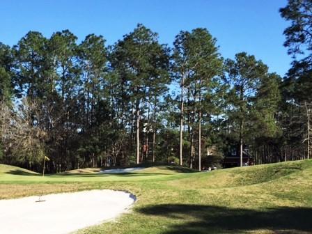 172 Hickory Ridge Way Summerville, SC 29483 - Photo 67 of 73 PFCC #18 Green