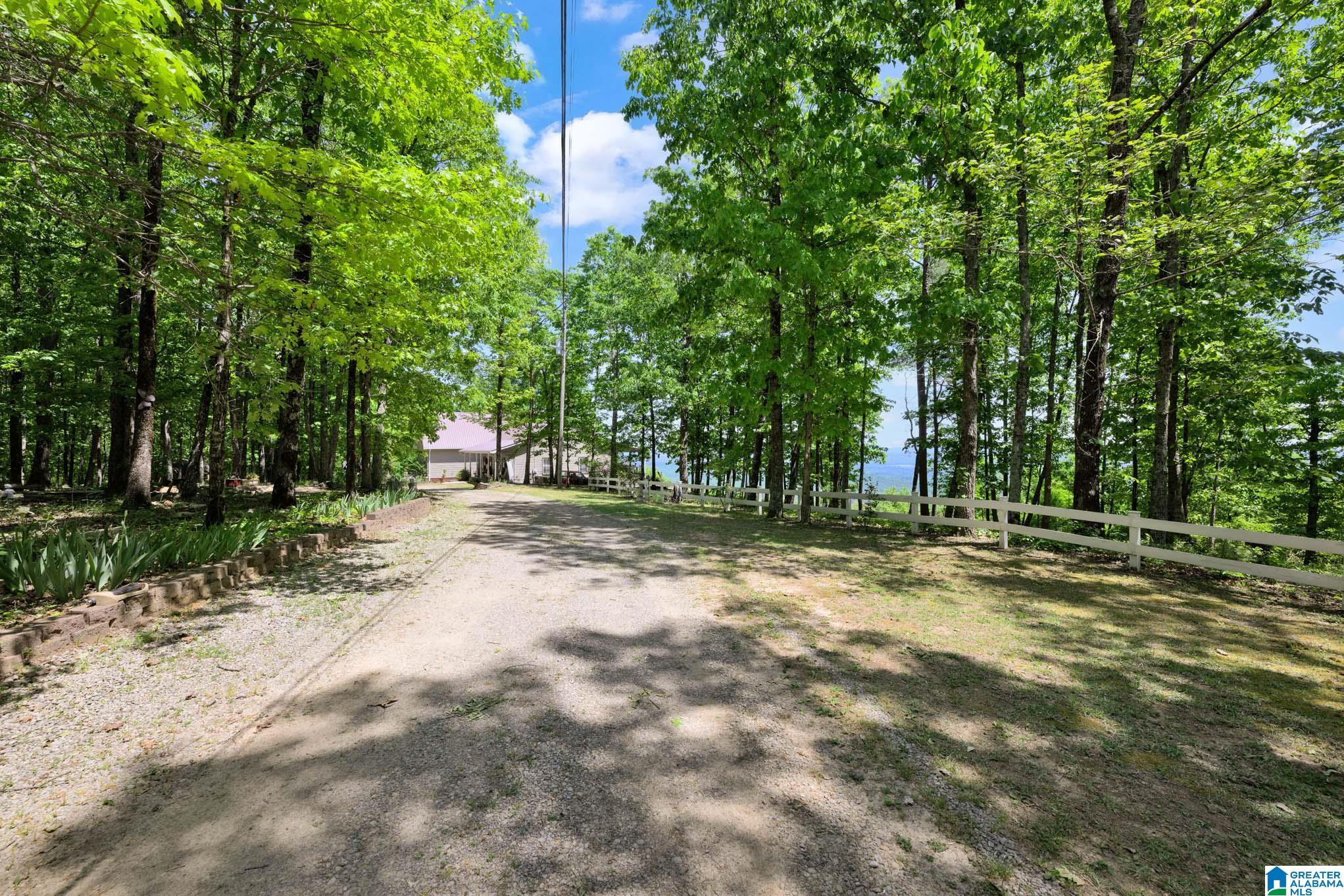 7076 Co Highway 24 Springville, AL 35146 - Photo 7 of 60