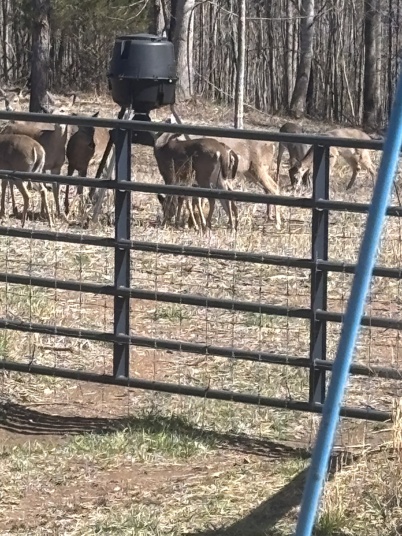 1221 Johnson Branch Road Pulaski, TN 38478 - Photo 93 of 97