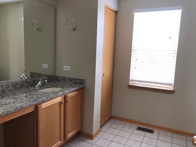 2845 Berman Road North Aurora, IL 60542 - Photo 17 of 23 a bathroom with a granite countertop sink and a mirror