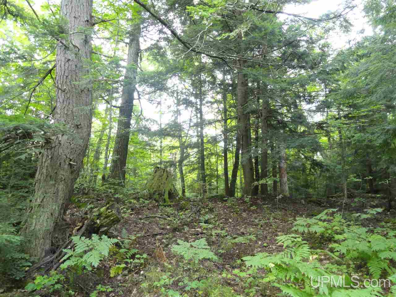 510 Rd Marquette Mi 49855 Road Negaunee, MI 49866 - Photo 8 of 26