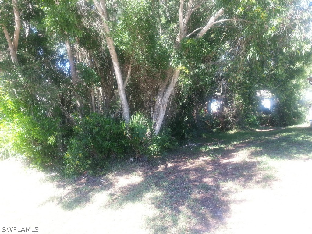8433 Wren Road Fort Myers, FL 33967 - Photo 2 of 6 a view of a forest with trees