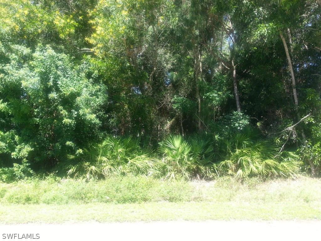 8433 Wren Road Fort Myers, FL 33967 - Photo 4 of 6 a view of a yard