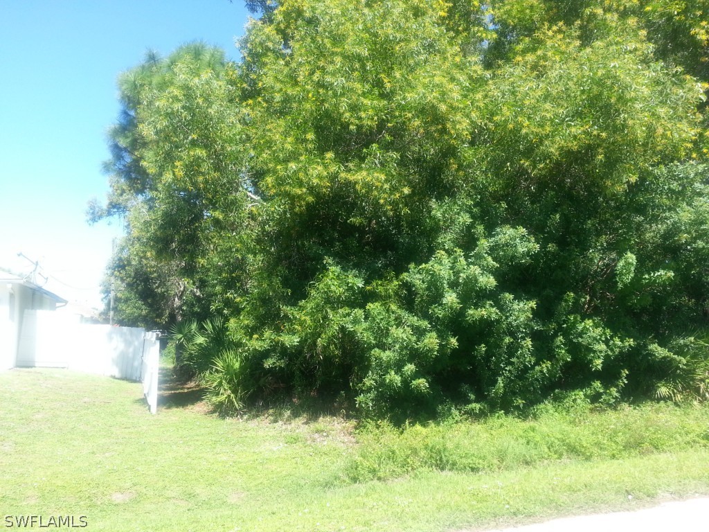 8433 Wren Road Fort Myers, FL 33967 - Photo 5 of 6 a view of backyard with green space
