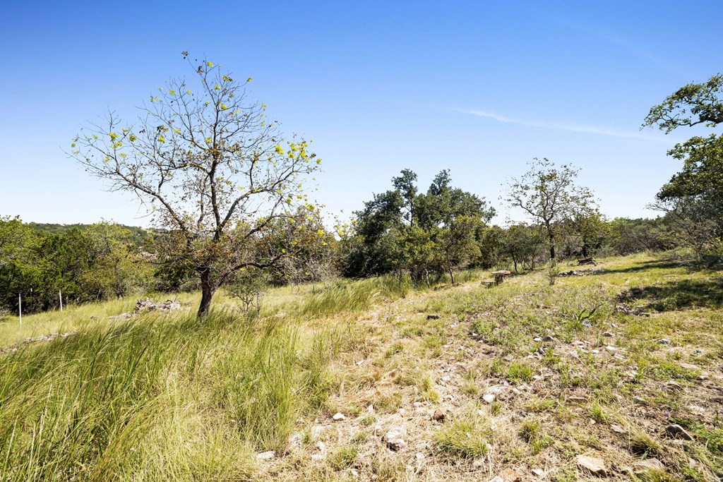 117 Ancient Coast Road Fredericksburg, TX 78624 - Photo 23 of 24