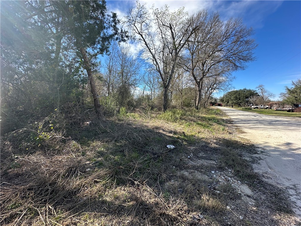 a view of dirt yard with a large tree