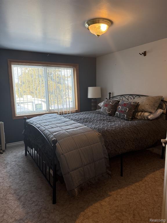 7394 Barnes Road Marlette, MI 48453 - Photo 15 of 28
