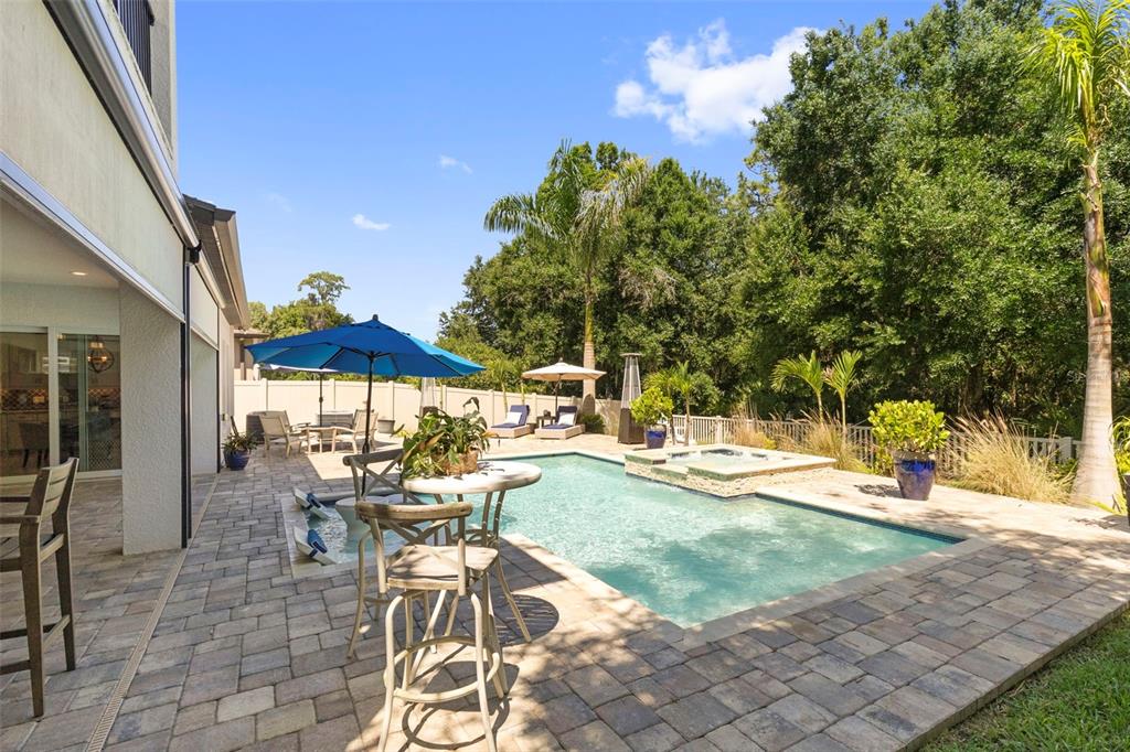 3515 Lands End Way Lutz, FL 33548 - Photo 84 of 100