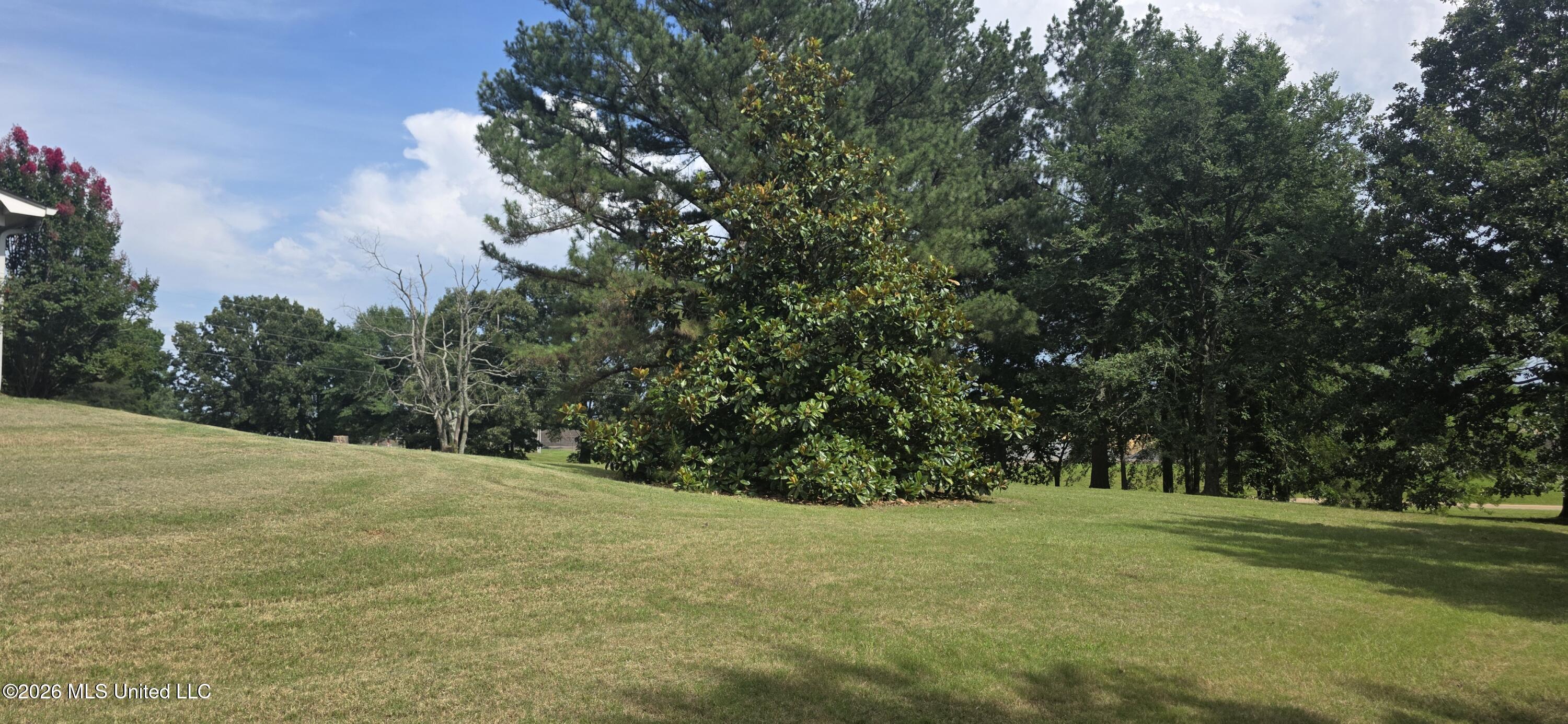 180 Stonewall Road Byhalia, MS 38611 - Photo 44 of 73 20260613_155416