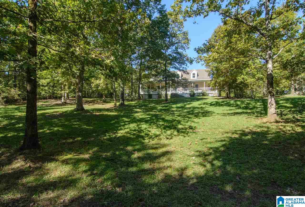 7951 Highway 55 Wilsonville, AL 35186 - Photo 1 of 50
