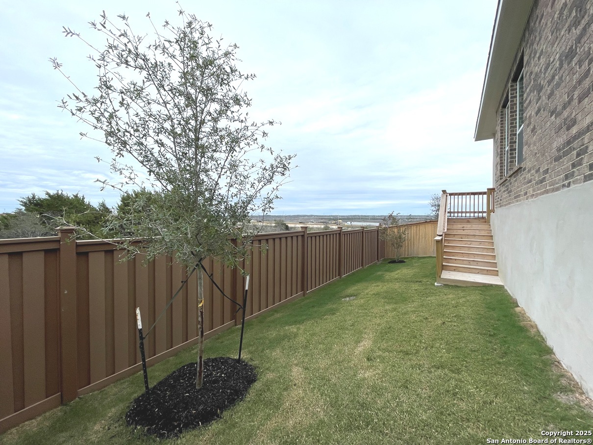 116 Radnor Road New Braunfels, TX 78130 - Photo 26 of 26 a view of a backyard with plants and large tree