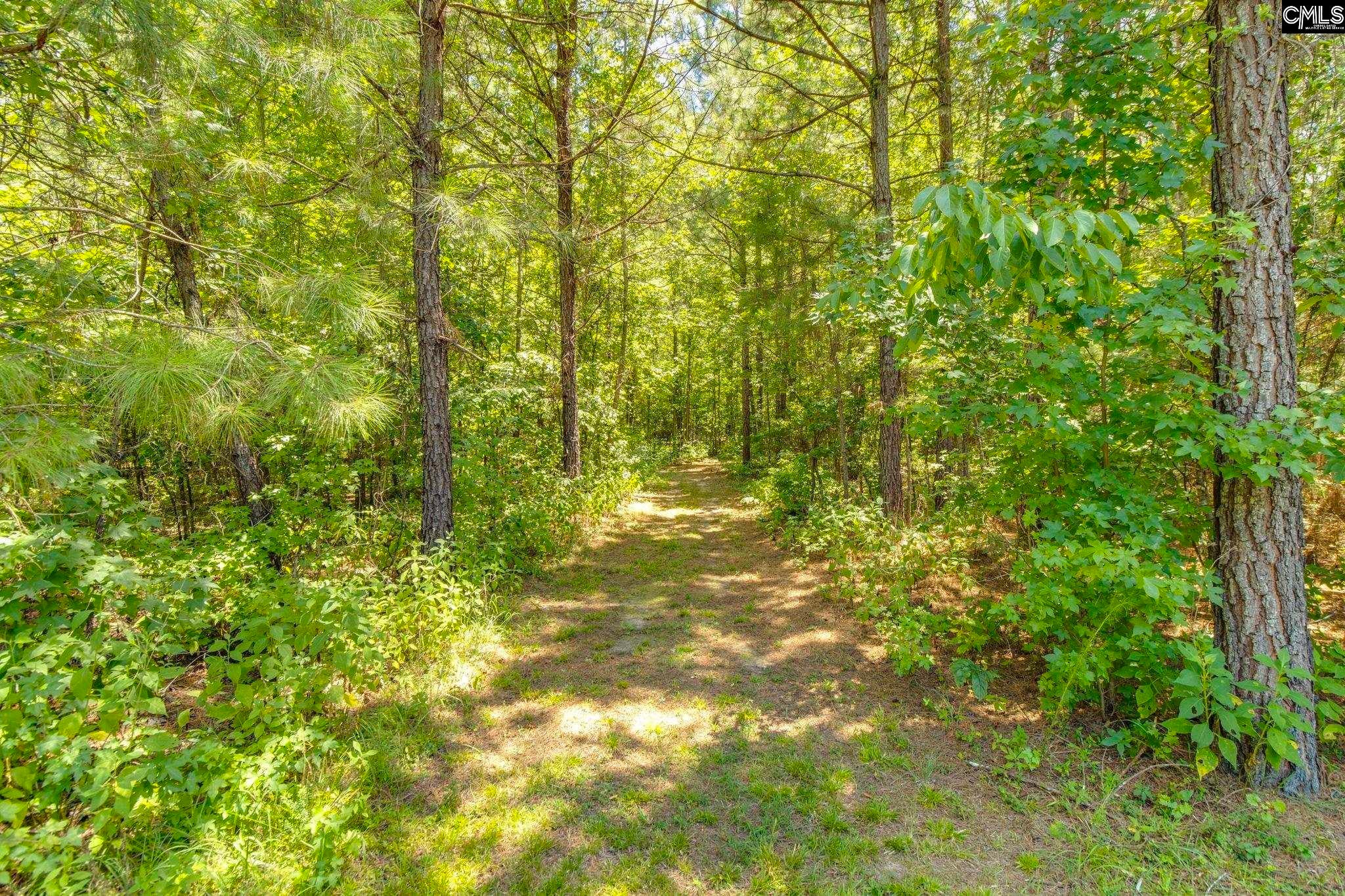 1242 Old Douglas Road Winnsboro, SC 29180 - Photo 23 of 32