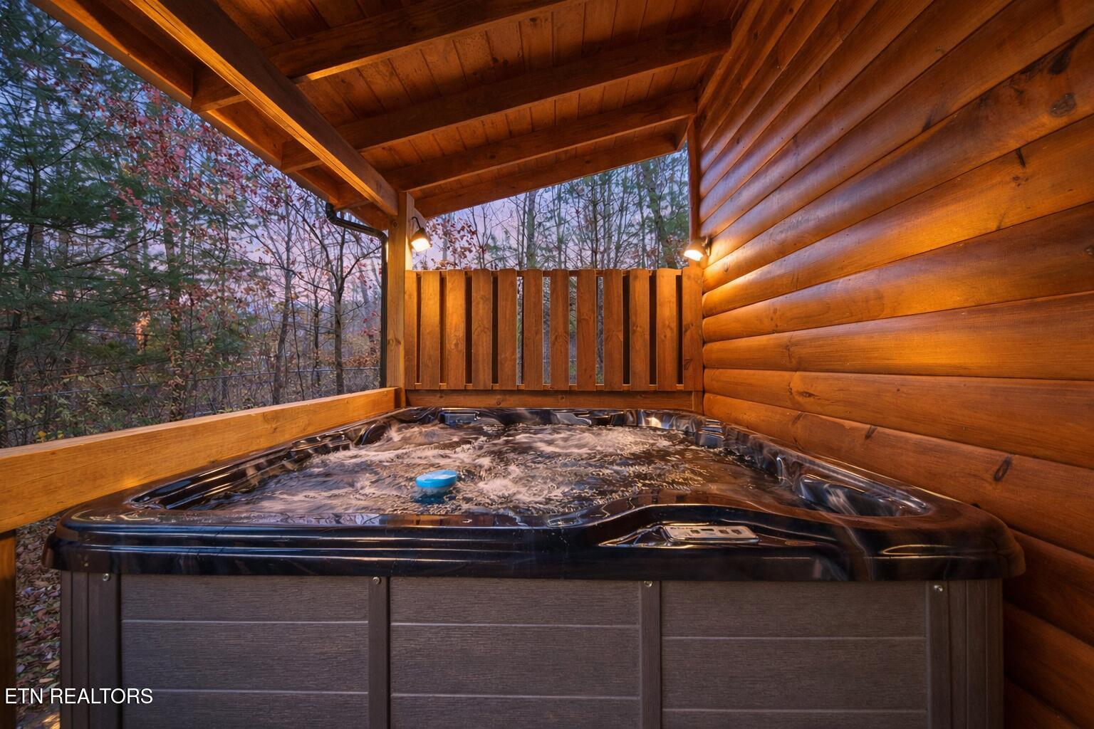 224 Amet Way Cosby, TN 37722 - Photo 2 of 28 Hot Tub 224 Amet Way Cosby Tn cabin for