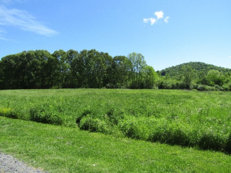 5 Big Bottom Road Gainesboro, TN 38562 - Photo 1 of 24 Gallery Image 1