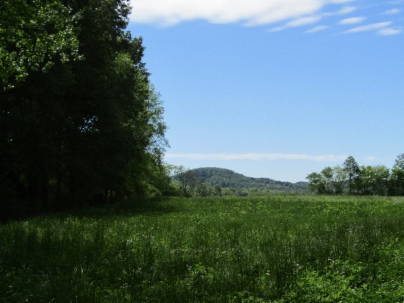 5 Big Bottom Road Gainesboro, TN 38562 - Photo 15 of 24 Gallery Image 15