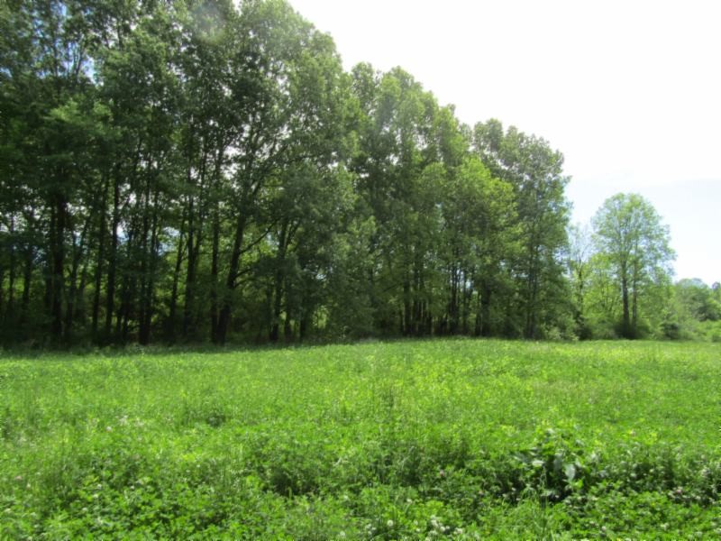 5 Big Bottom Road Gainesboro, TN 38562 - Photo 16 of 24 Gallery Image 16