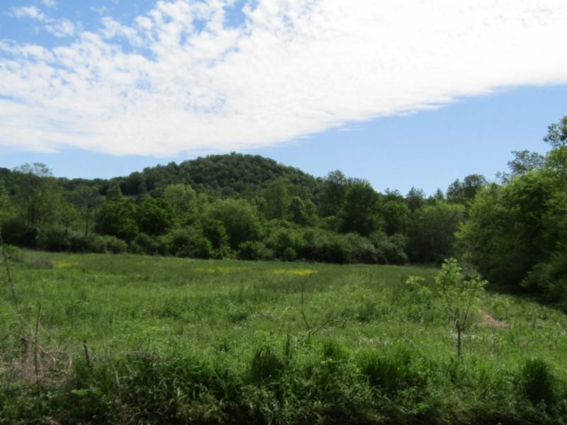 5 Big Bottom Road Gainesboro, TN 38562 - Photo 18 of 24 Gallery Image 18