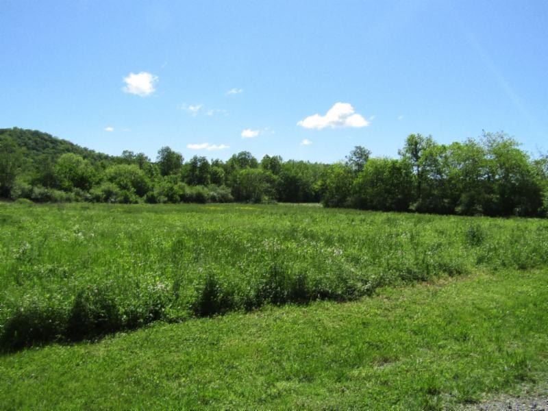 5 Big Bottom Road Gainesboro, TN 38562 - Photo 3 of 24 Gallery Image 3