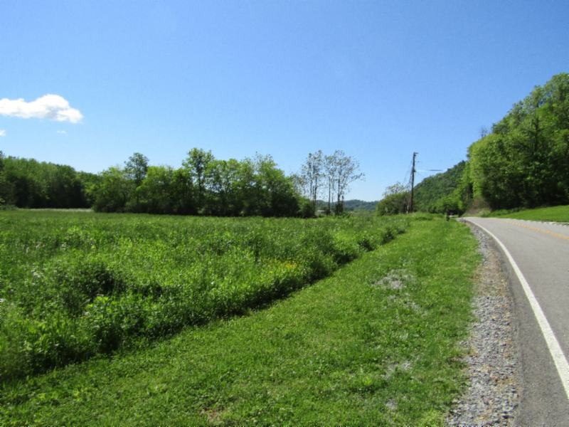 5 Big Bottom Road Gainesboro, TN 38562 - Photo 4 of 24 Gallery Image 4