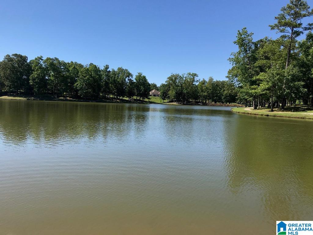 4261 Milner Road East Birmingham, AL 35242 - Photo 6 of 26