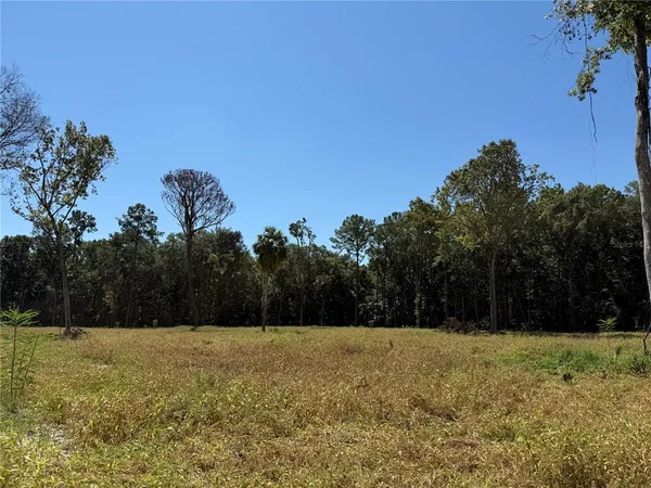 $991,690 | 62 Northwest 193rd Street, Reddick, FL 32686
