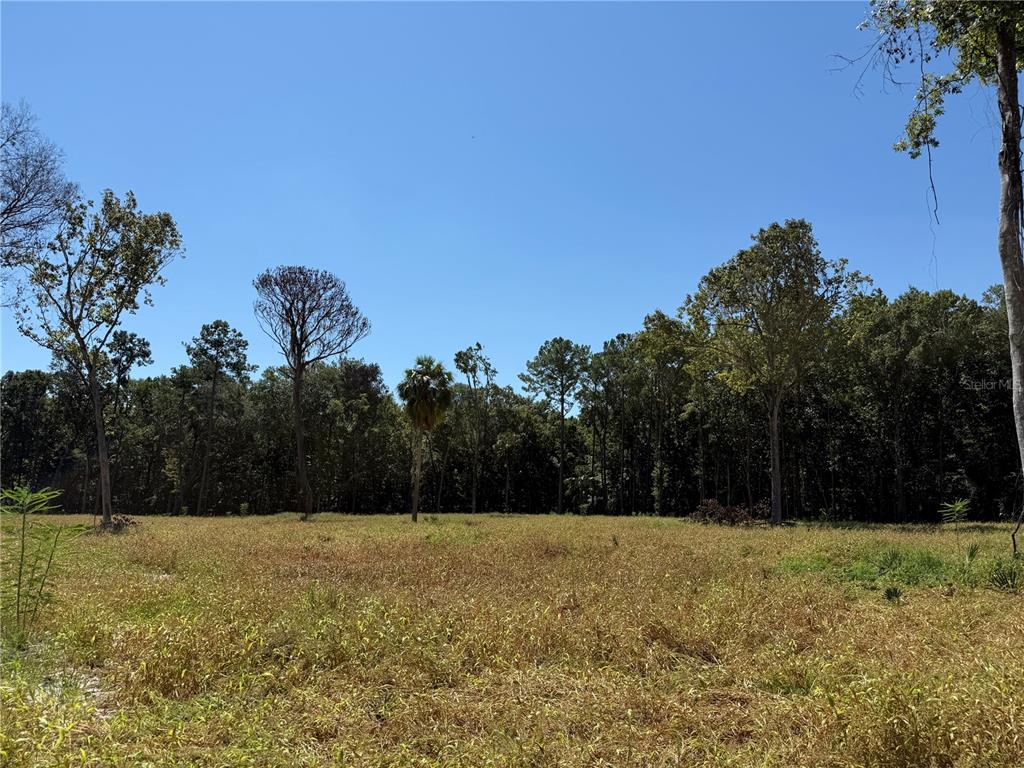 62 Northwest 193rd Street Reddick, FL 32686 - Photo 2 of 8 a view of a yard