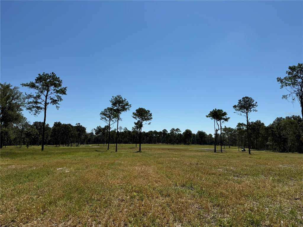 62 Northwest 193rd Street Reddick, FL 32686 - Photo 4 of 8 a view of a garden