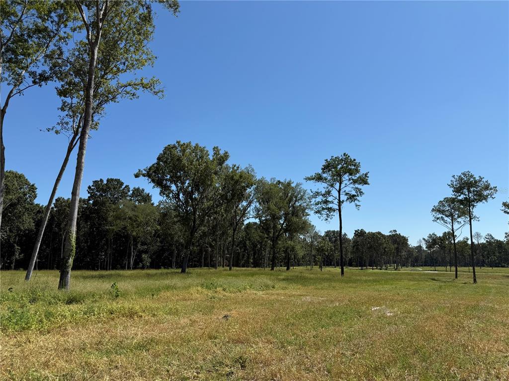 62 Northwest 193rd Street Reddick, FL 32686 - Photo 5 of 8 a view of outdoor space and yard
