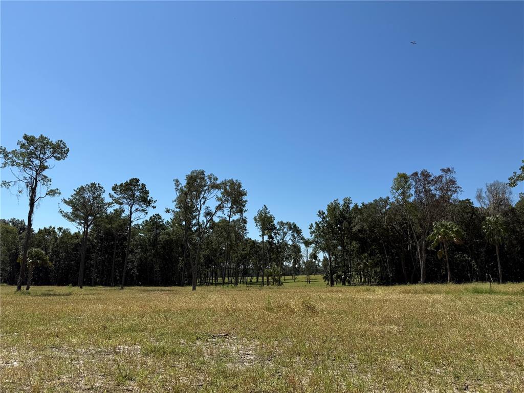 62 Northwest 193rd Street Reddick, FL 32686 - Photo 6 of 8 a view of a field with trees in the background