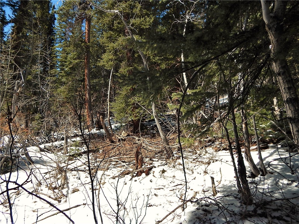 589 Mine Dump Road Alma, CO 80420 - Photo 16 of 26 Gallery Image 16