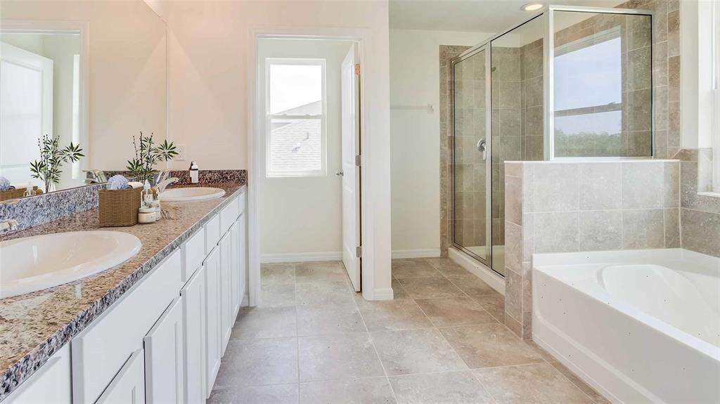 17536 Maple Grv Road Land O Lakes, FL 34638 - Photo 11 of 15 a bathroom with a granite countertop tub sink and mirror