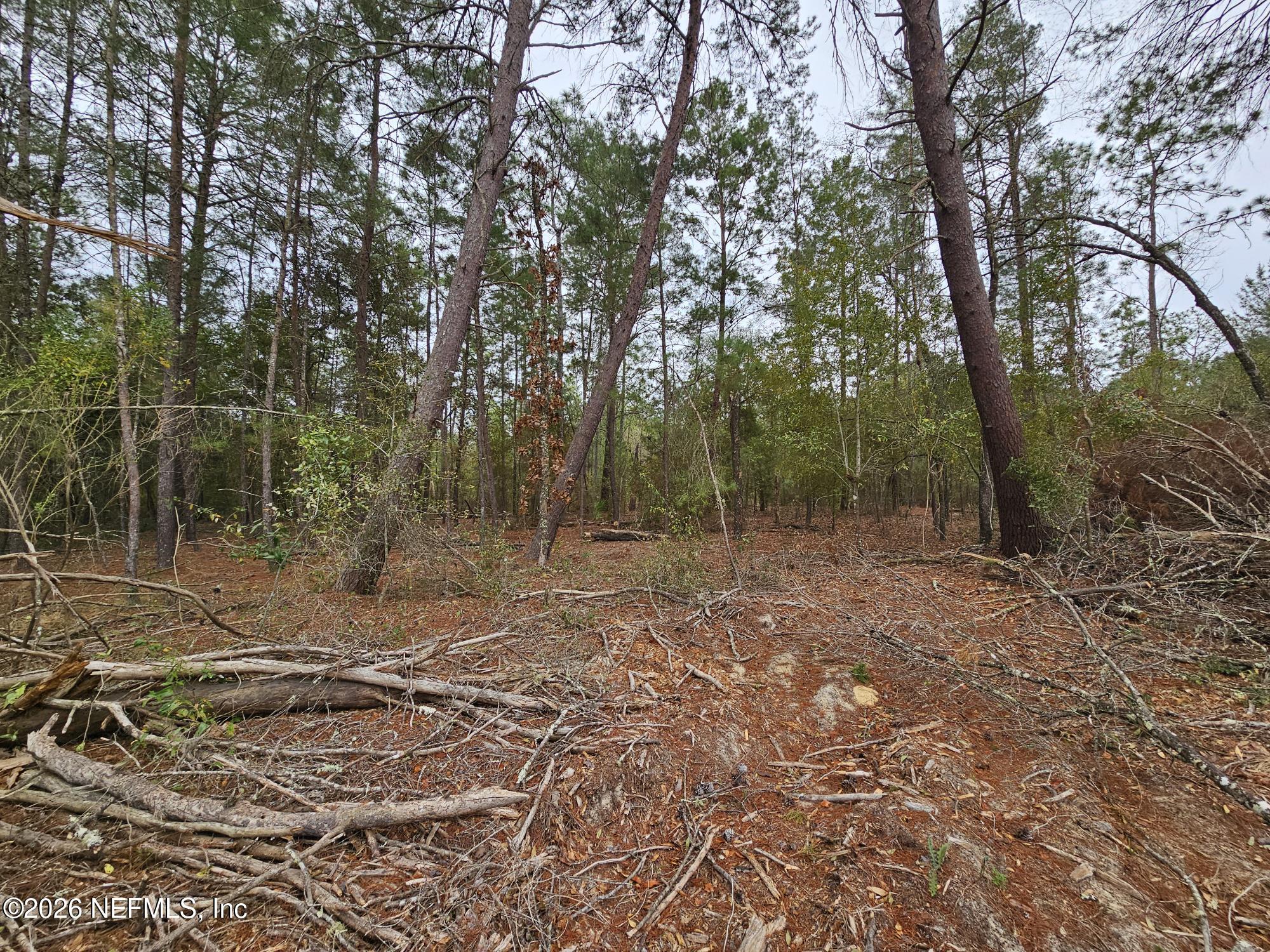 131 5th Street Interlachen, FL 32148 - Photo 1 of 9 Main