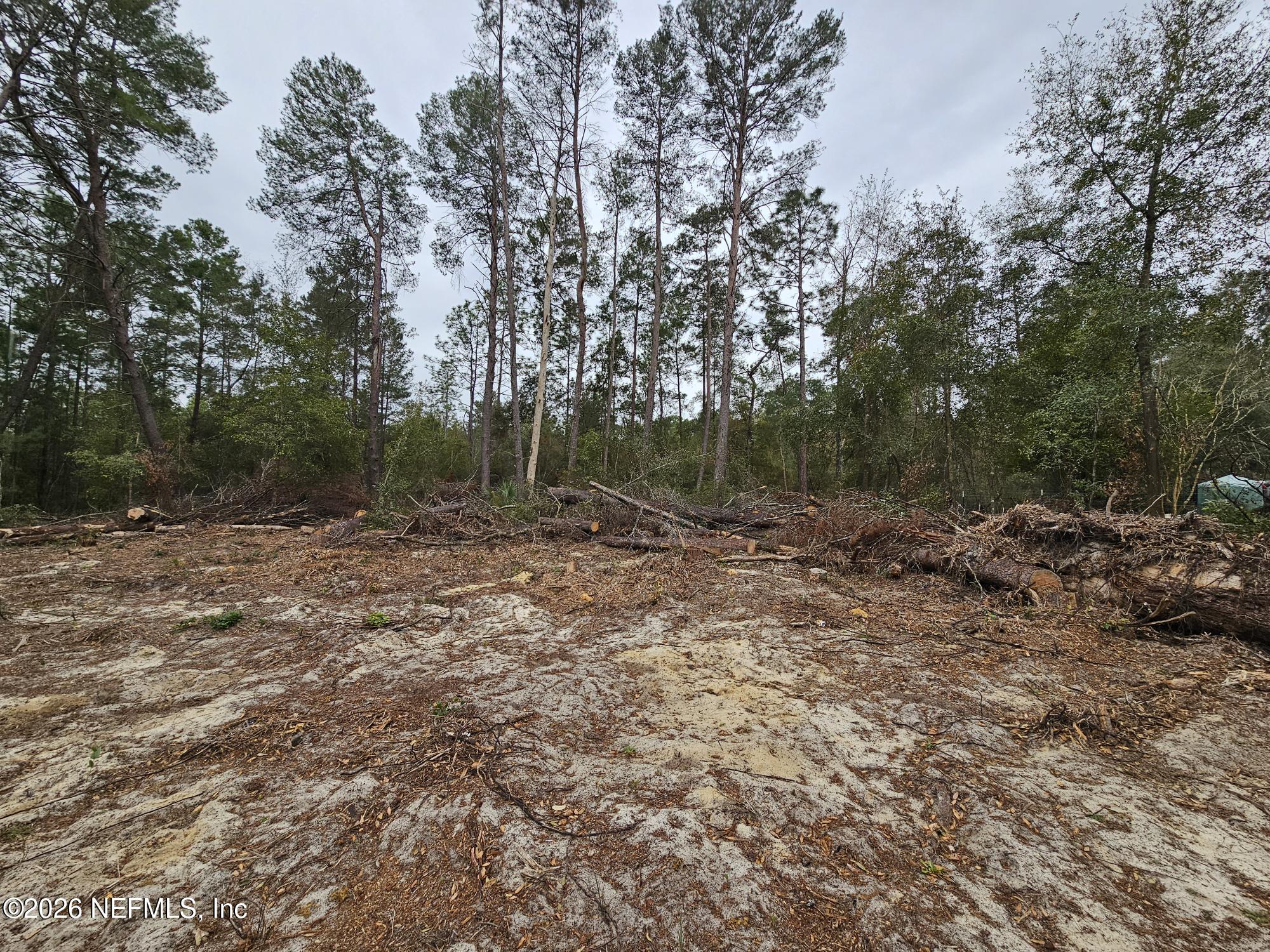131 5th Street Interlachen, FL 32148 - Photo 2 of 9 20260211_135156
