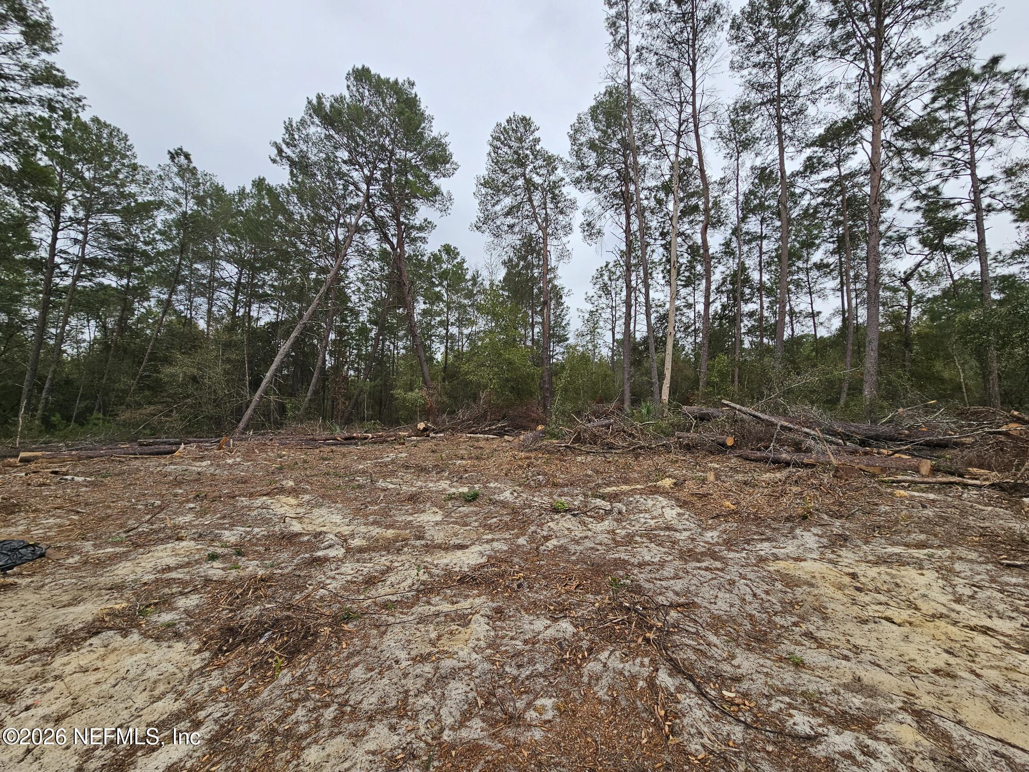 131 5th Street Interlachen, FL 32148 - Photo 3 of 9 20260211_135200