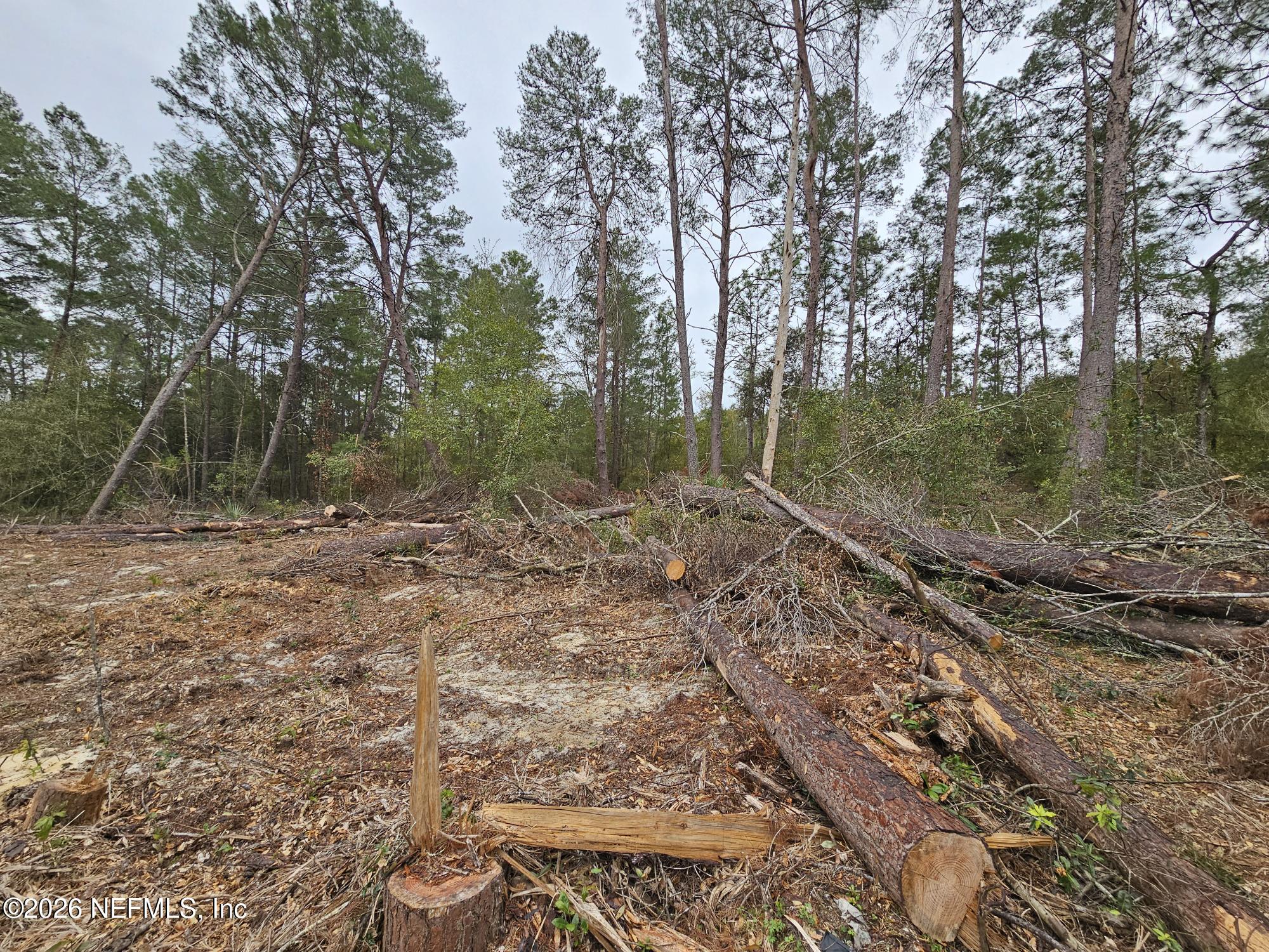 131 5th Street Interlachen, FL 32148 - Photo 5 of 9 20260211_135226