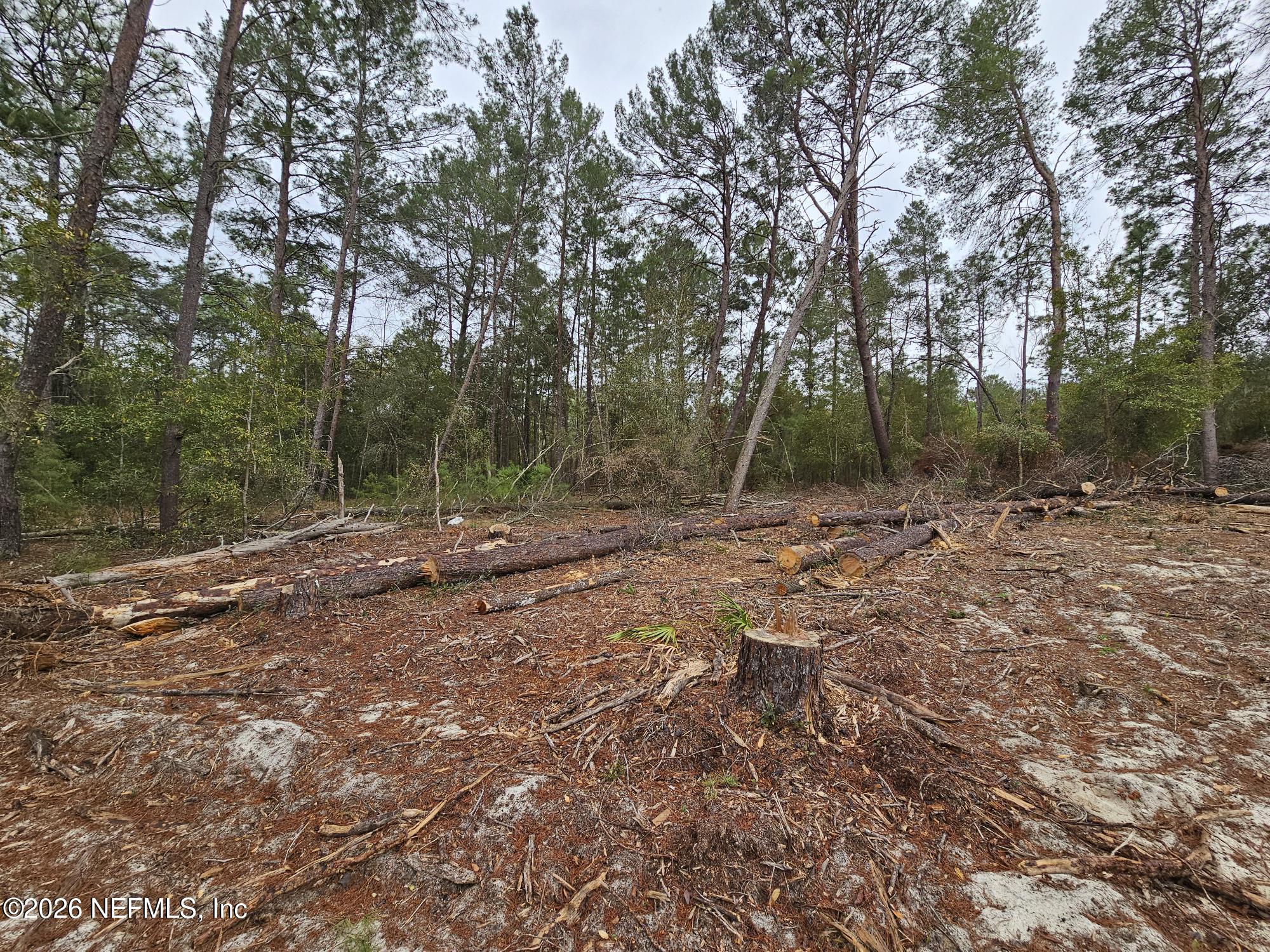 131 5th Street Interlachen, FL 32148 - Photo 6 of 9 20260211_135302