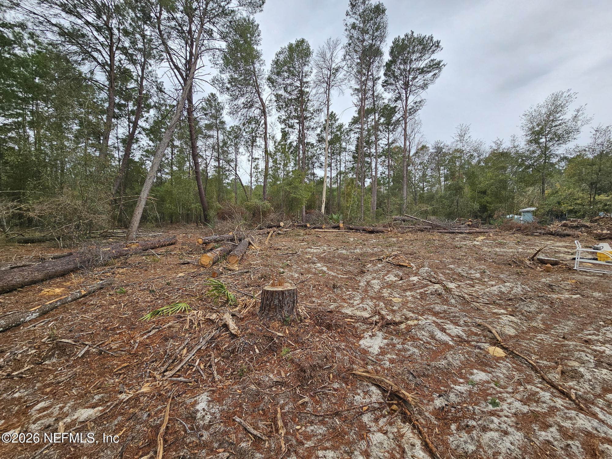 131 5th Street Interlachen, FL 32148 - Photo 7 of 9 20260211_135309