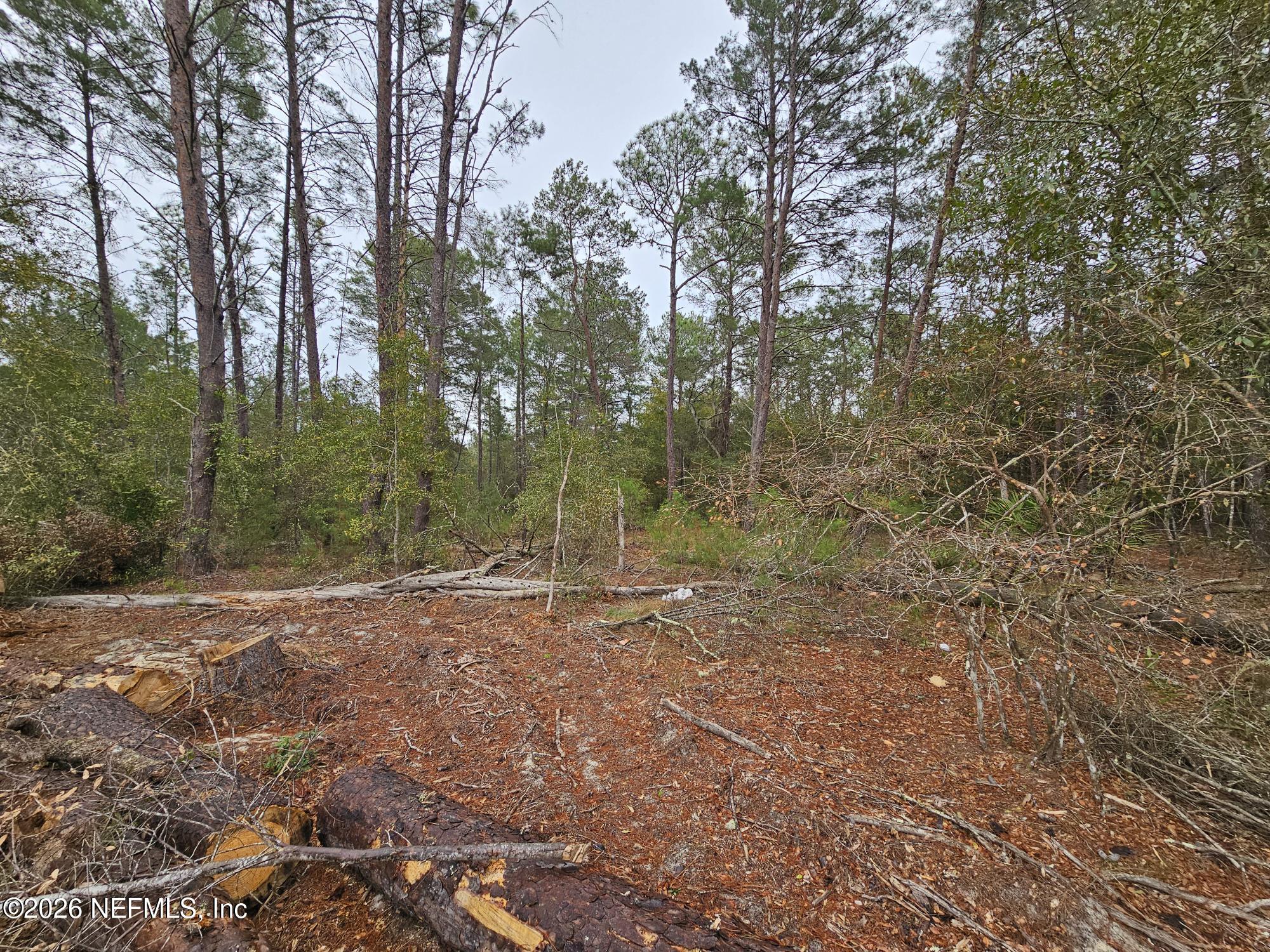 131 5th Street Interlachen, FL 32148 - Photo 8 of 9 20260211_135331