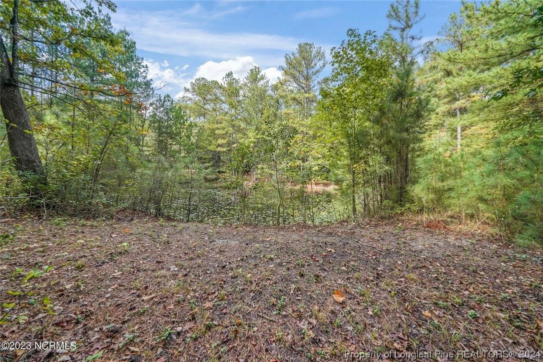 2352 County Line Road Cameron, NC 28326 - Photo 6 of 38 a view of a forest with trees in the background