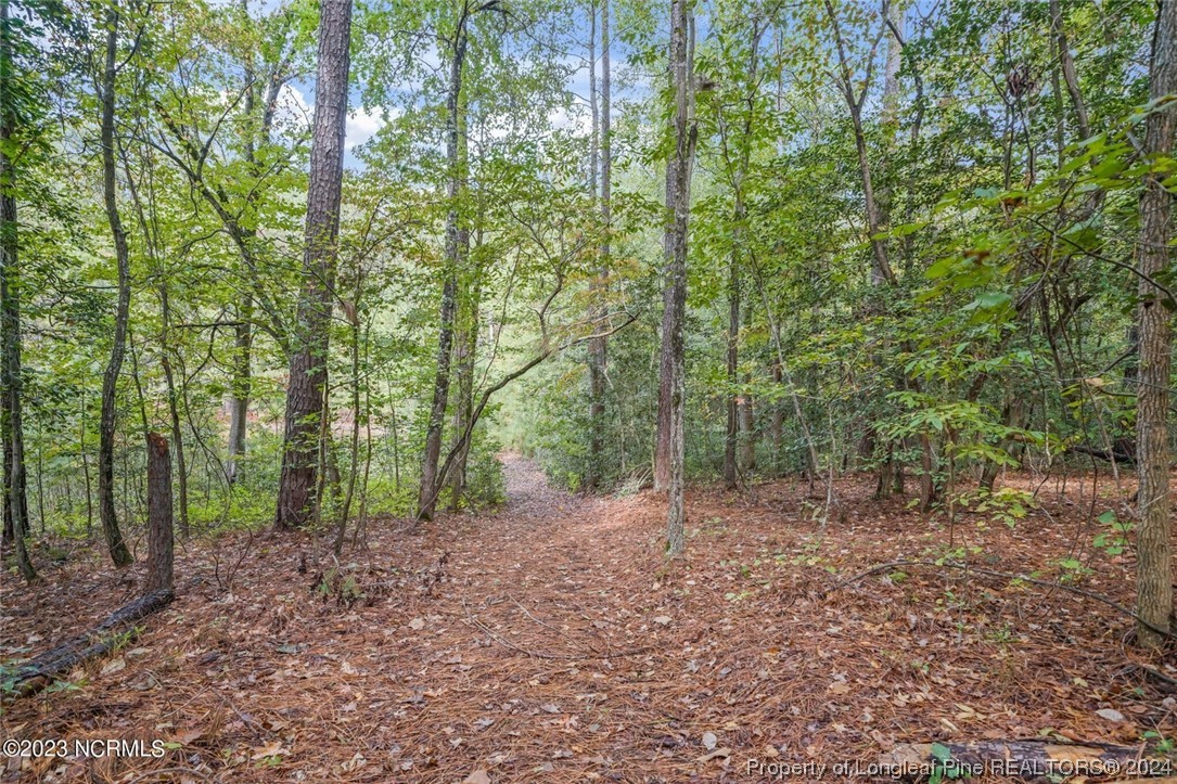 2352 County Line Road Cameron, NC 28326 - Photo 7 of 38 a view of a forest with trees