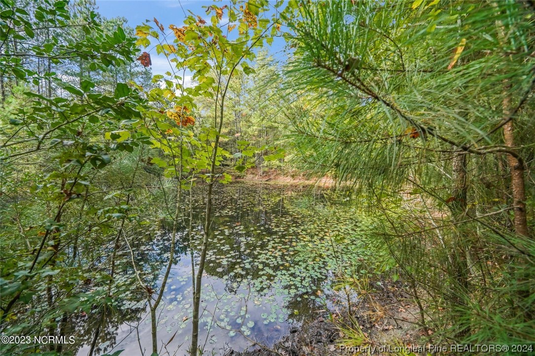 2352 County Line Road Cameron, NC 28326 - Photo 8 of 38