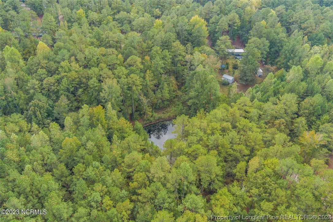 2352 County Line Road Cameron, NC 28326 - Photo 10 of 38 a view of a forest with a street