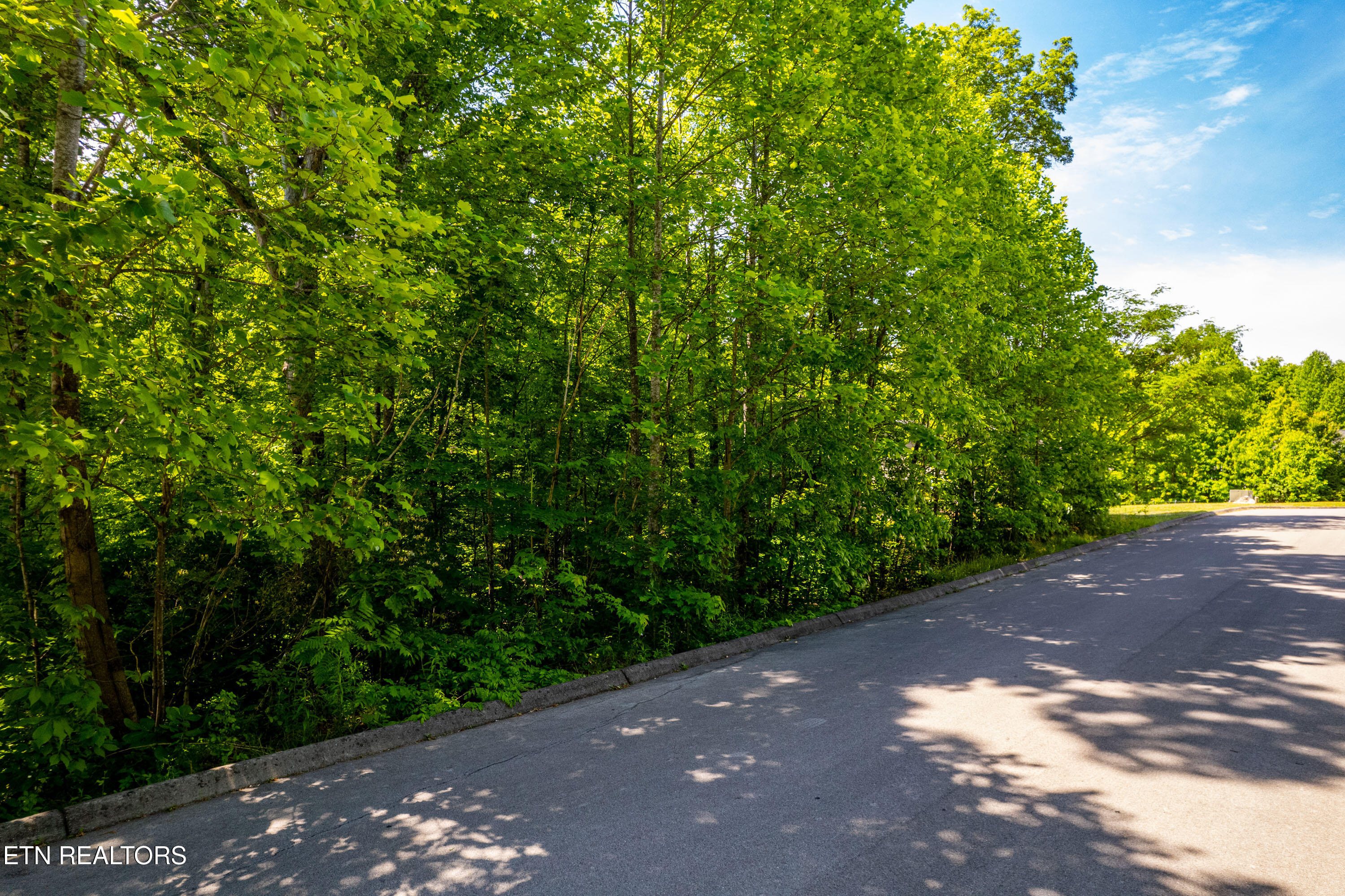 1055 Houston Springs Road Greenback, TN 37742 - Photo 3 of 21 1055HoustonSpringsRd-2
