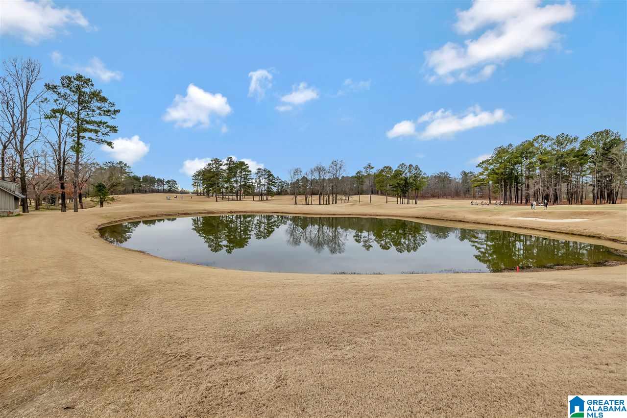1037 Merion Drive Calera, AL 35040 - Photo 37 of 38
